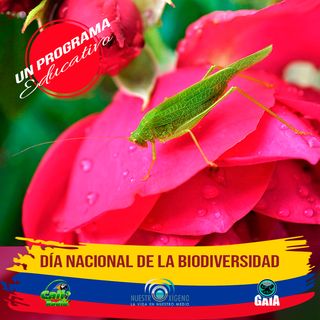 NUESTRO OXÍGENO Día nacional de la biodiversidad