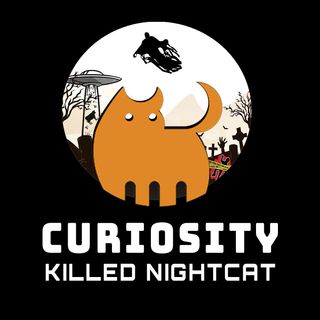 Curiosity #3 - The Murder of John Williams