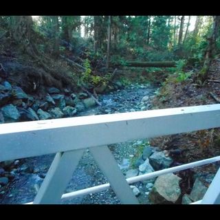 Douglas Creek Trail