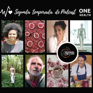 Diversidad Conectada