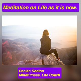 Meditation - Life as it is now