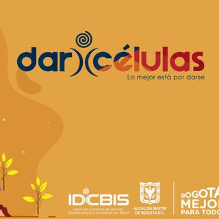 DarCélulas: programa del IDCBIS