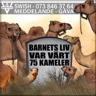 BARNETS LIV VAR VÄRT 75 KAMELER