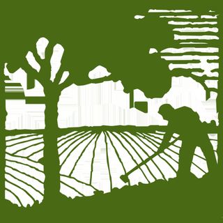 The Land Connection
