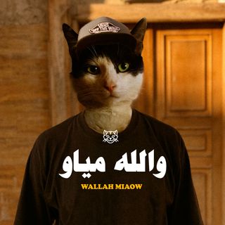 Wallah Miaow والله مياو