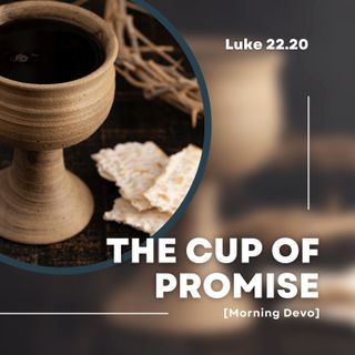 The Cup of Promise [Morning Devo]