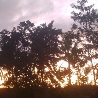 Sol