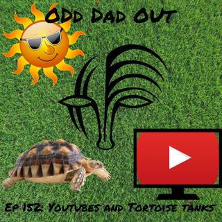YouTubes and Tortoise Tanks: ODO 152