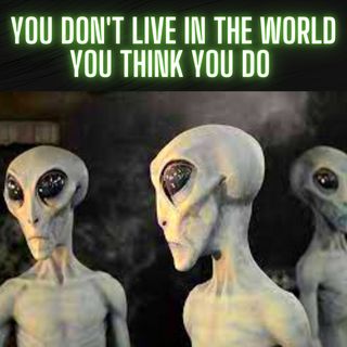 You Don't Live in The World You Think You Do: TRUE Alien, Bigfoot and Ghost Stories