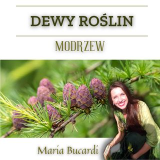 Dewy Roślin - Modrzew - Jak zwiększyć pewność siebie, wiarę we własne siły | Maria Bucardi