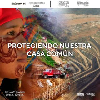 Protegiendo nuestra casa común