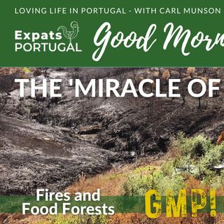 Get Out & Grow with the Happy Homesteaders: The (burnt) 'Miracle of Palmela'