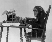The Infinite Monkeys Podcast