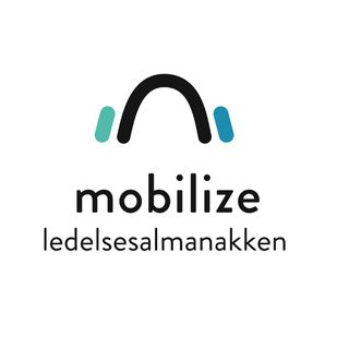 Mobilize Strategy Consulting