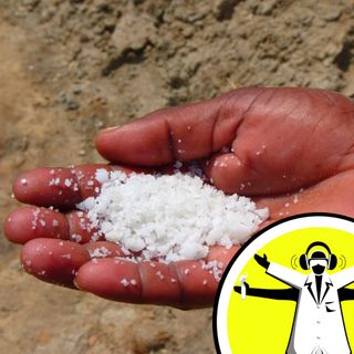 The War on Salt