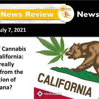 News Too Real: The State of Cannabis Equity in California:  who is really benefiting from its legalization?