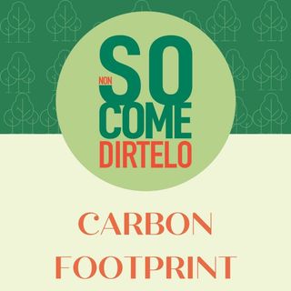 12. Carbon footprint