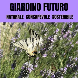 #1 -  Così ha inizio la Rivoluzione del Giardinaggio in Italia