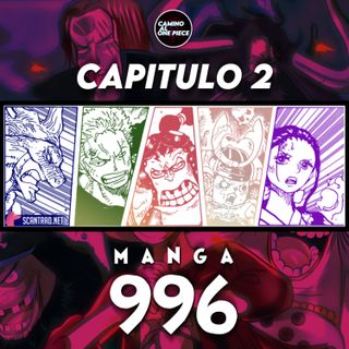 2 One Piece Manga Capitulo 996