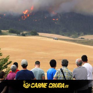 La España calcinada: causas de la nueva ola de incendios (CARNE CRUDA #1077)