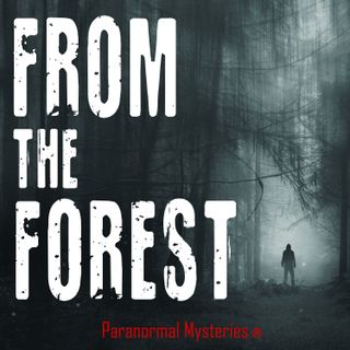 #240 | From The Forest: Chapter 9 - Strange Creatures, Ghosts & Shadow People in the Woods