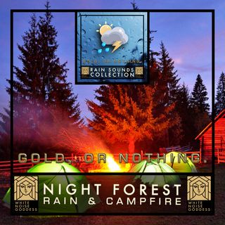 Night Forest Rain & Campfire | Relaxing Night Ambience