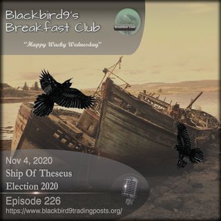 Ship Of Theseus Election 2020 - Blackbird9 Podcast