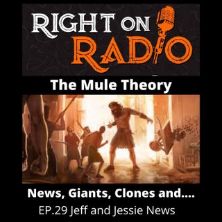EP.29 The Mule Theory