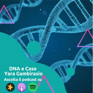 DNA e Caso Yara Gambirasio: E' di Bossetti?
