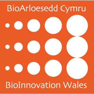 BioInnovation Wales Podcast