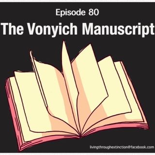 80 The Voynich Manuscript