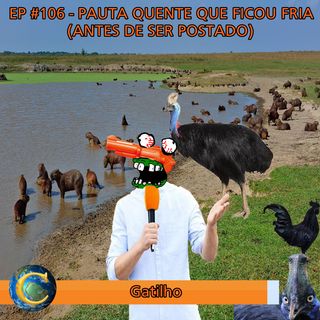 Episódio #106 - Pauta Quente que ficou Fria (Antes de Ser Postado)