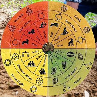 Braccia rubate all’agricoltura (biodinamica) - V Dimensione - s03e12