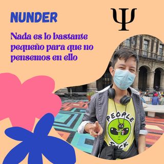 Proyecto Nunder