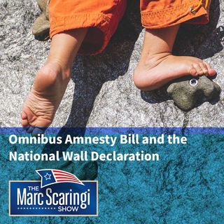2019-02-16 TMSS Omnibus Amnesty Bill and the  National Wall Declaration