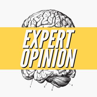 Expert Opinion