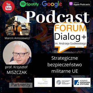 #7 UE potrzebuje armii i doktryny bezpieczeństwa