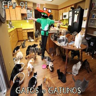 Episódio #91 - Gatos e Gatunos