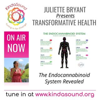 The Endocannabinoid System Revealed | Transformative Health with Juliette Bryant