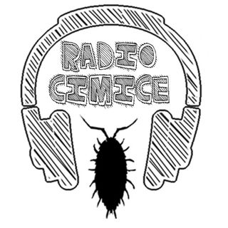 Radio Cimice