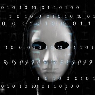 The Dark Web Experiment