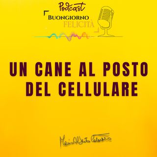 #1333 - Un cane al posto del cellulare | Buongiorno Felicità