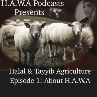 Episode 1: About H.A.W.A