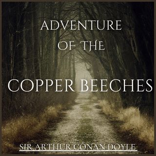 The Adventure of the Copper Beeches - 03 - Part III