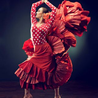 El flamenco, Patrimonio Cultural Inmaterial de la Humanidad