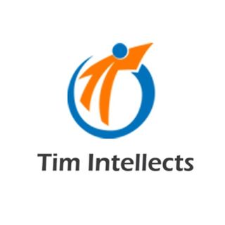 Tim Intellects