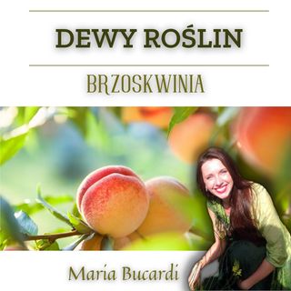 Dewy Roślin  - BRZOSKWINIA - Maria Bucardi