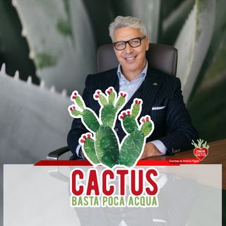 Cactus #18 - Incontri tra cactus - 28/01/2021
