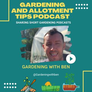 Getting your Allotment Garden Winter Ready | Gardening Tips & Allotment Advice Podcast