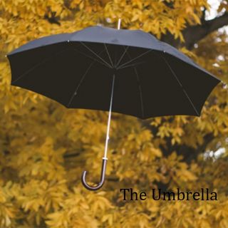 Umbrella A Tale
